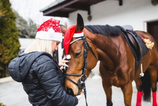 Kvinde og hest ved juletid
